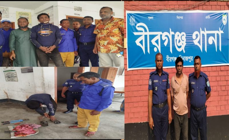 বীরগঞ্জে কুখ্যাত ডাকাত আটক, একাধিক মামলার আসামি আদালতে প্রেরণ