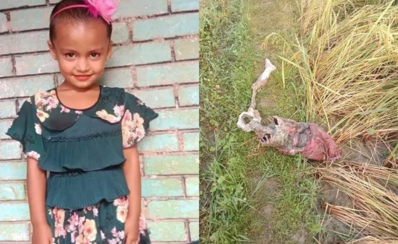 নেত্রকোনায় নিখোঁজ শিশুর মুখ বাঁধা শেয়াল খাওয়া গলিত লাশ উদ্ধার, রহস্য ঘনীভূত