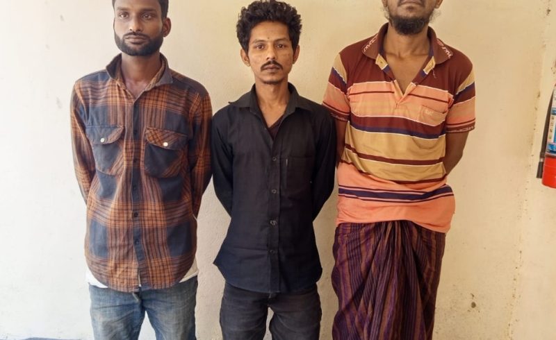 ঠাকুরগাঁওয়ে ভোর রাতের অভিযানে ৩৩ পিস ইয়াবাসহ তিন মাদক কারবারি গ্রেফতার