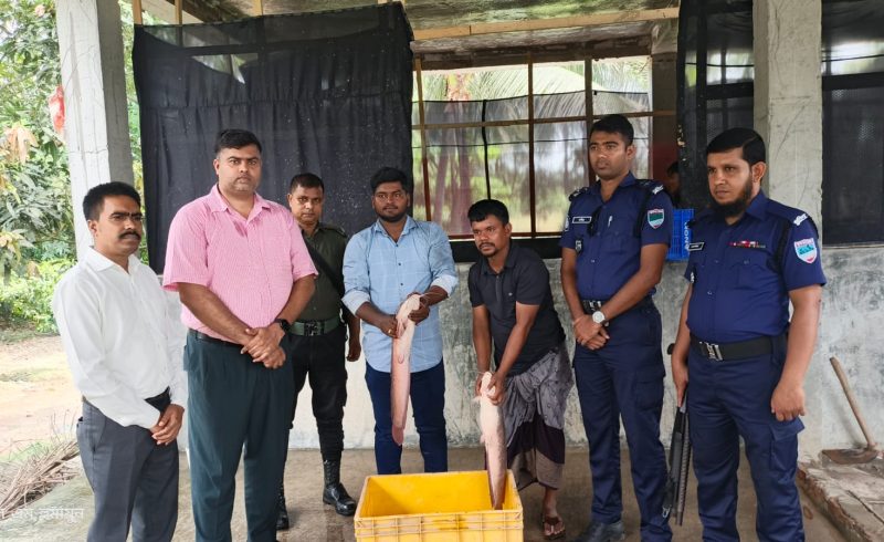 বাগেরহাটের কচুয়ায় উপজেলা প্রশাসনের অভিযানে বিদেশি আফ্রিকান মাগুর মাছ জব্দ ও জরিমানা। 