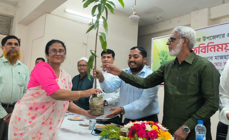 কিশোরগঞ্জ সদরে শিক্ষা উন্নয়ন, বৃক্ষরোপণ ও টিন বিতরণ কর্মসূচি অনুষ্ঠিত