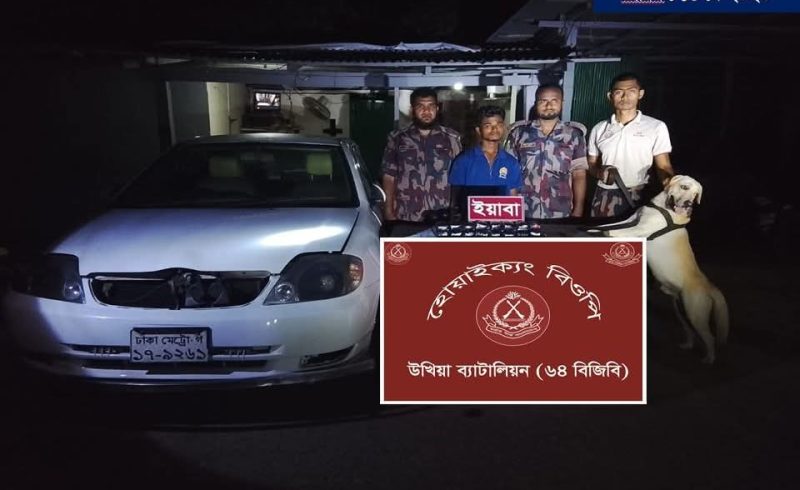 হোয়াইক্যং চেকপোস্টে বিজিবির অভিযানে ৩২ হাজার ইয়াবাসহ আটক ১