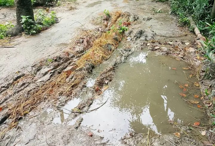 দুর্গাপুর ইউনিয়নে বেহাল সড়কে চরম দুর্ভোগ  সামান্য বৃষ্টিতেই চলাচল অযোগ্য, দ্রুত সংস্কারের দাবি এলাকাবাসীর