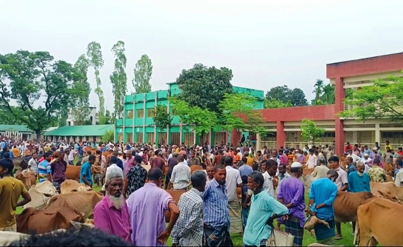 অতিরিক্ত খাজনা আদায়: কুড়িগ্রামে পশুর হাটের ইজারাদারকে ১০ হাজার টাকা জরিমানা