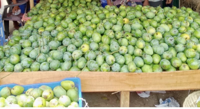 ডুমুরিয়ায় বাজারে আমের দামে ধস: লোকসানের আশঙ্কায় মাথায় হাত চাষিদের